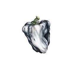 WEEN – WHITE PEPPER