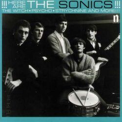 SONICS – HERE ARE THE SONICS