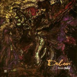 BRAST BURN – DEBON