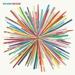 WILD HONEY – BIG FLASH