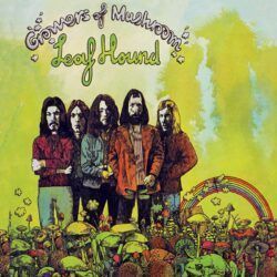 LEAF HOUND – GROWERS OF MUSHROOM ( 50th Anniversary )