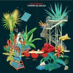 WILD HONEY – TORRES BLANCAS
