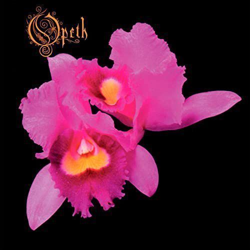 opeth orchid