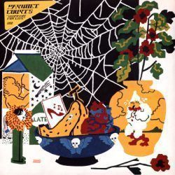 PARQUET COURTS – SYMPATHY FOR LIFE