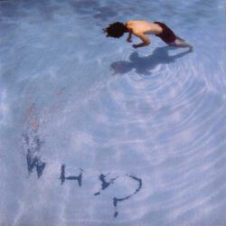 WHY? - OAKLANDAZULASYLUM
