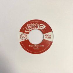 TRANSILVANIANS – NATURE BOY / NIGHT AND DAY