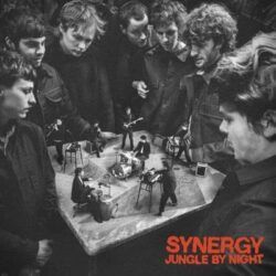 JUNGLE BY NIGHT – SYNERGY