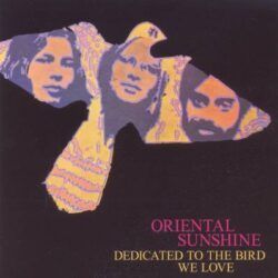 ORIENTAL SUNSHINE – DEDICATED TO THE BIRD WE LOVE