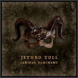 JETHRO TULL – CURIOUS RUMINANT