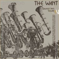 THE WANT – GREATEST HITS VOLUME 5