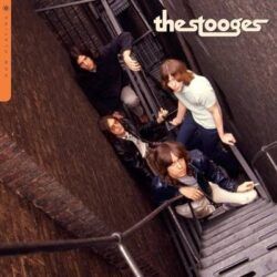 STOOGES – NOW PLAYING