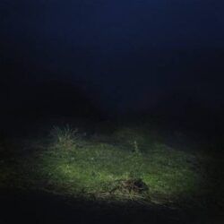 SEN SENRA – PO2054AZ VOL. 2