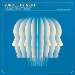 JUNGLE BY NIGHT – ALGORHYTHM