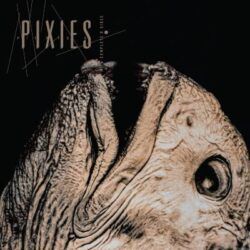 PIXIES – COMPLETE B SIDES