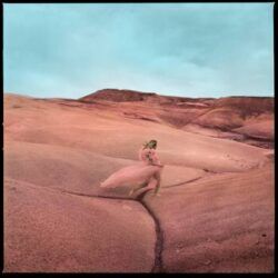 MARGO PRICE – STRAYS