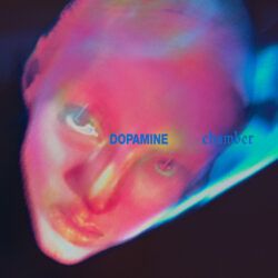 FONTAINES D.C. - DOPAMINE CHAMBER